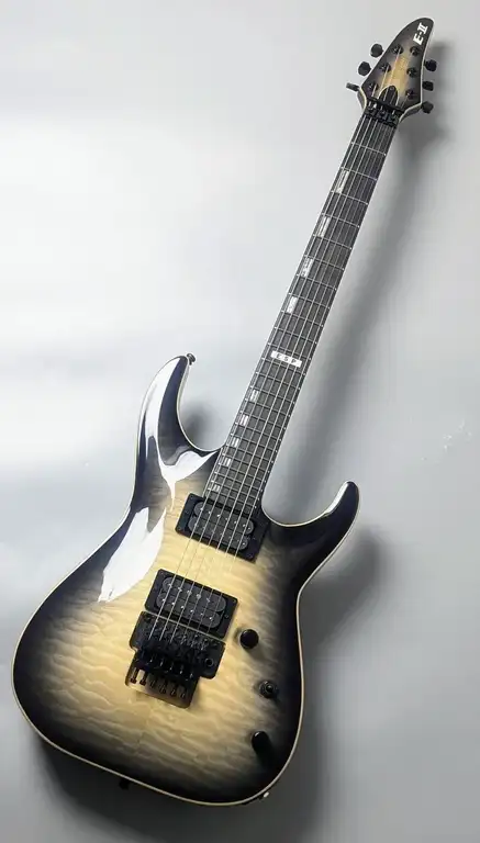 E-II HORIZON FR QM · Black Natural Burst